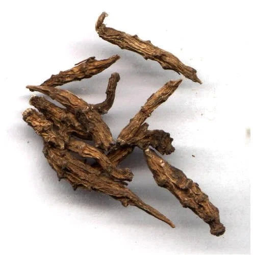 Atish Root Liquid Extract (Water Soluble) - Aconitum heterophyllum - Bulk Supplier India