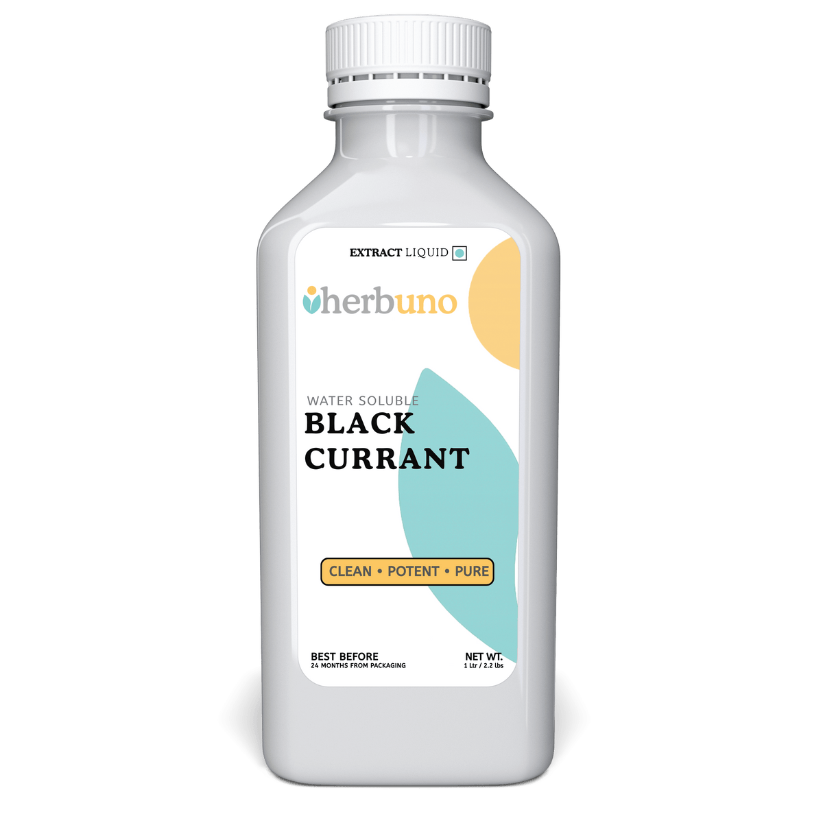 Black Currant Water Soluble Extract