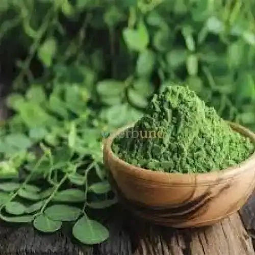 Dehydrated Moringa Leaf Powder - Bulk Supplier India - shop_name
