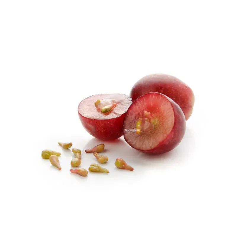 Grape Seed Liquid Extract (Water Soluble) - Vitis Vinifera - Bulk Supplier India - shop_name