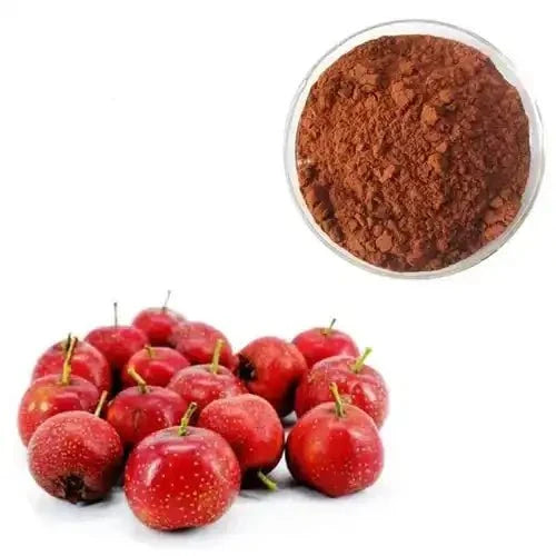 Hawthorn Extract Powder - Bulk Supplier India