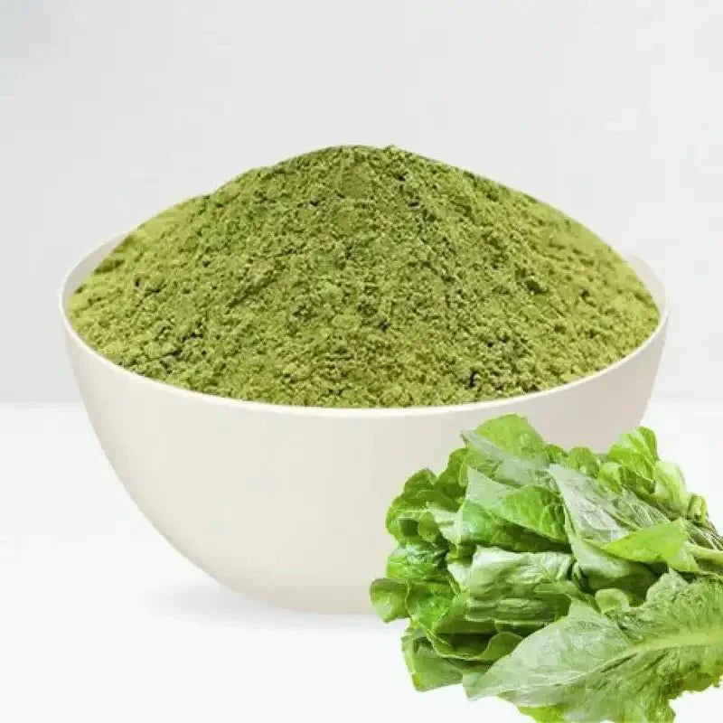Lettuce Liquid Extract (Water Soluble) - Lactuca sativa - Bulk Supplier India - shop_name