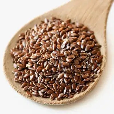 Lignan Extract Powder - Bulk Supplier India