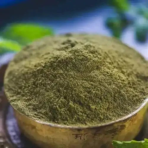 Mint Powder - Spearmint Flavorful Extract - Bulk Supplier India - shop_name