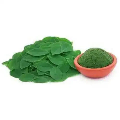 Moringa Oleifera Leaf Extract Powder - Bulk Supplier India - shop_name