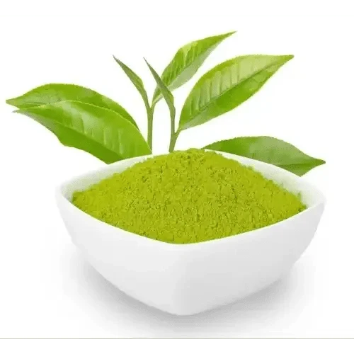Green Tea Liquid Extract (Water Soluble) - Camellia sinensis - Bulk Supplier India - shop_name