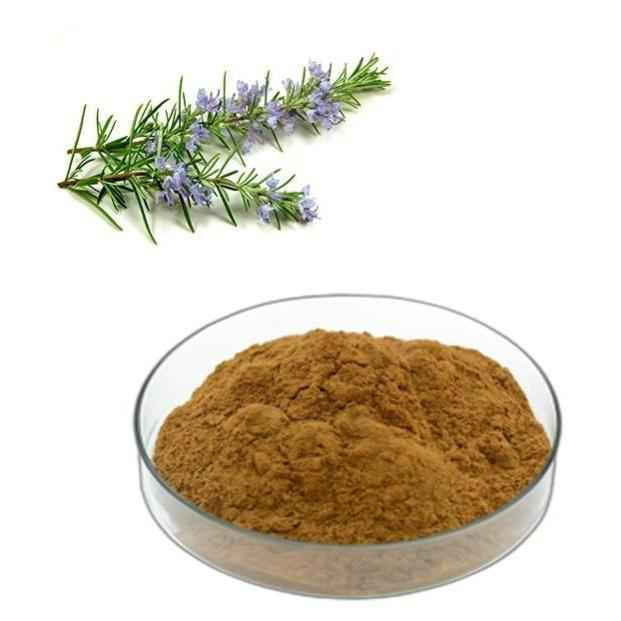 Organic Rosemary (Rosmarinus officinalis) Leaf Powder - Bulk Supplier India - shop_name
