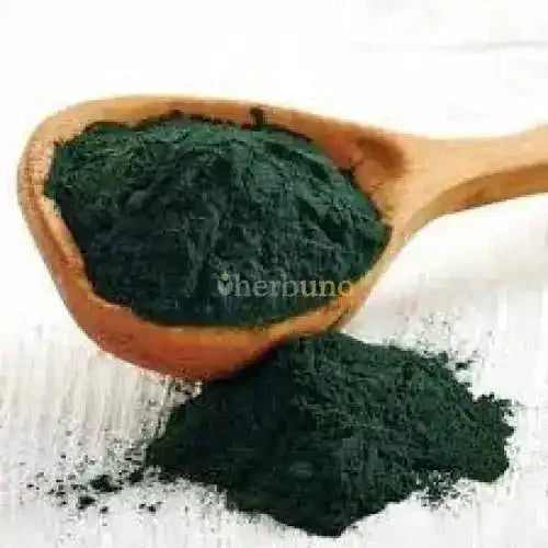 Organic Spirulina (Arthrospira platensis) Powder - Bulk Supplier India - shop_name