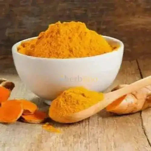 Organic Turmeric (Curcuma longa) Root Powder - Bulk Supplier India - shop_name