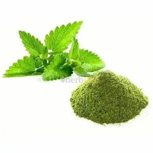 Peppermint Extract Powder - Bulk Supplier India - shop_name