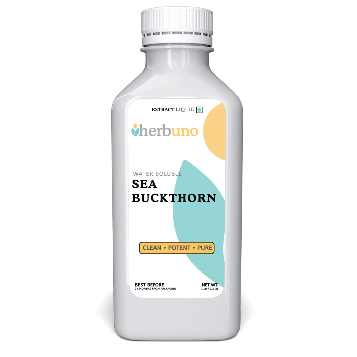 Sea Buckthorn Fruit Water Soluble Extract
