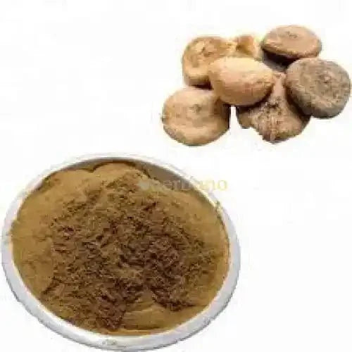 Shudh Kuchla Extract Powder - Detoxified Alkaloids - Bulk Supplier India