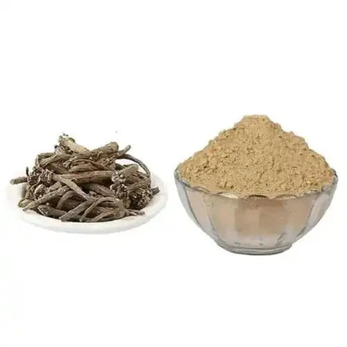 Anacyclus Pyrethrum (Akarkara) Extract Powder - Bulk Supplier India