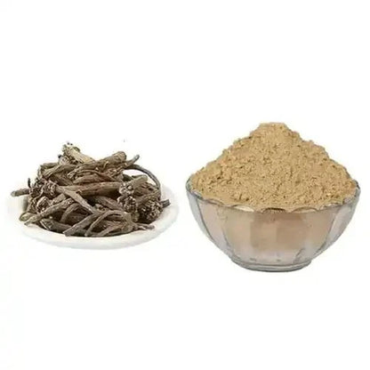 Anacyclus Pyrethrum (Akarkara) Extract Powder - Bulk Supplier India