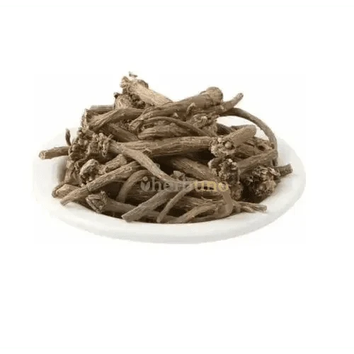 Anacyclus Pyrethrum (Akarkara) Extract Powder - Bulk Supplier India