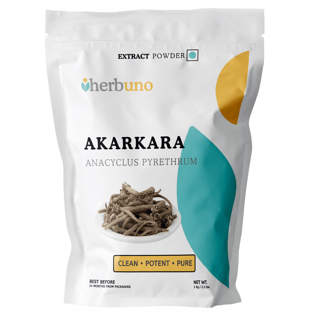 Anacyclus Pyrethrum (Akarkara) Extract Powder - Bulk Supplier India