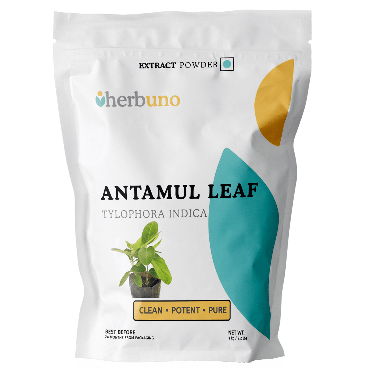 Antamul Leaf Extract Powder - Tylophora Indica - Bulk Supplier India