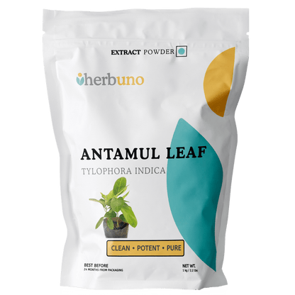 Antamul Leaf Extract Powder - Tylophora Indica - Bulk Supplier India