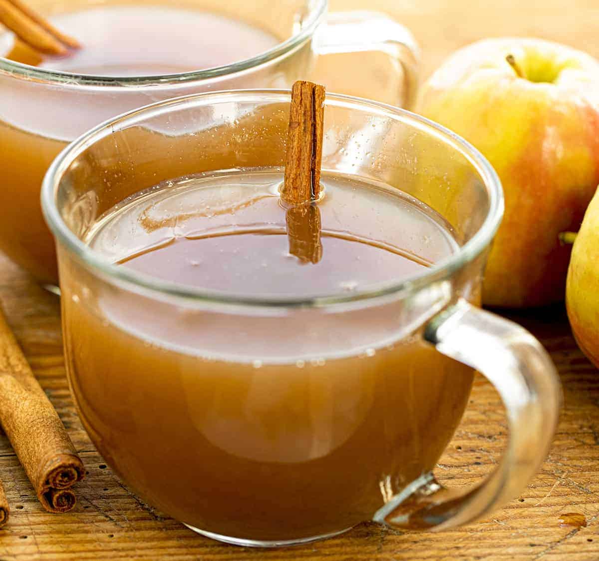 Apple Cider Vinegar Powder - Malus domestica - Bulk Supplier India