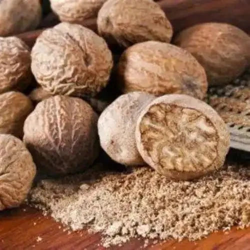 Areca Catechu (Betel Nut) Extract Powder - Bulk Supplier India