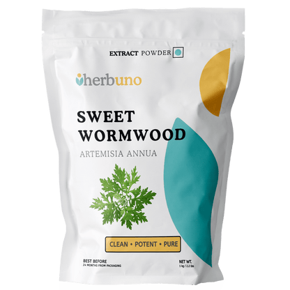 Artemisia Annua (Sweet Wormwood) Extract Powder - Bulk Supplier India