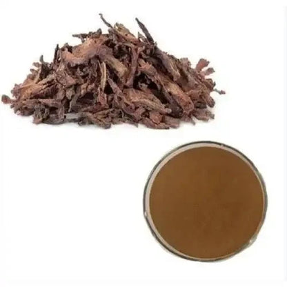 Ashoka Bark Extract Powder - Bulk Supplier India