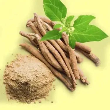 Ashwagandha Root Extract Powder - Withania Somnifera | Asgandh - Bulk Supplier India