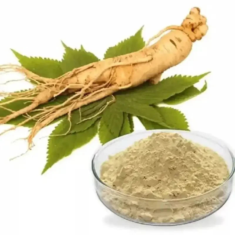 Asian Ginseng Extract Powder - Bulk Supplier India