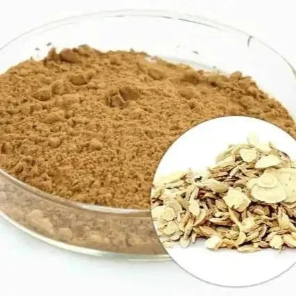Astragalus Extract Powder (Astragalus gummifer) - Bulk Supplier India
