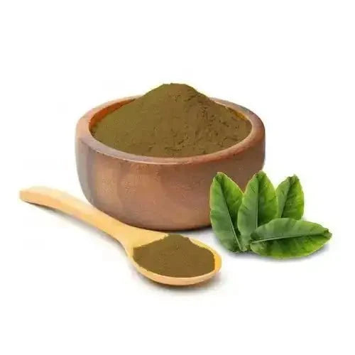 Banaba Leaf Extract Powder - Bulk Supplier India