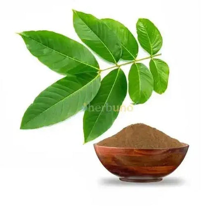 Banaba Leaf Extract Powder - Bulk Supplier India