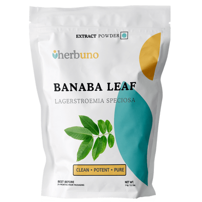 Banaba Leaf Extract Powder - Bulk Supplier India