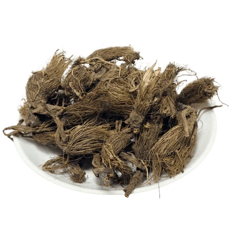 Banyan Root Liquid Extract (Water Soluble) - Ficus benghalensis| Bargad Jad Ras - Bulk Supplier India
