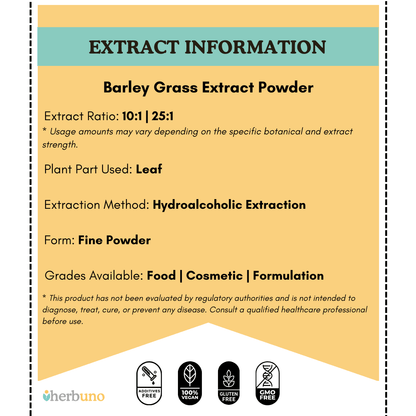 Barley Grass Extract Powder - Hordeum vulgare| Jau Jaware Powder - Bulk Supplier India
