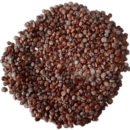 Bathua Seed Liquid Extract (Water Soluble) - Chenopodium album - Bulk Supplier India