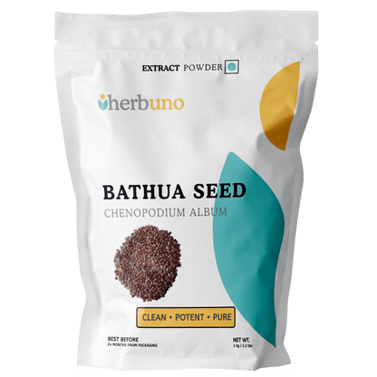 Bathua Seed Extract Powder - Chenopodium album - Bulk Supplier India