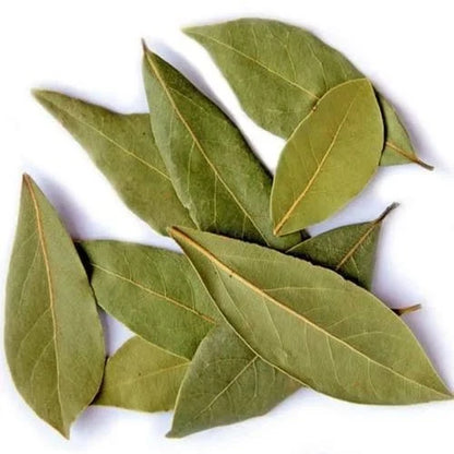 Bay Leaf Liquid Extract (Water Soluble) - Cinnamomum tamala| Tejpatta Ras - Bulk Supplier India