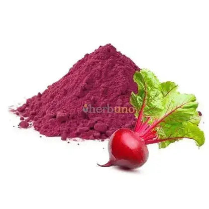 Organic Beetroot Powder - Beta vulgaris  - Bulk Supplier India  - shop_name