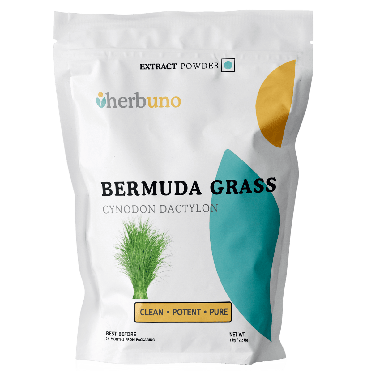 Bermuda Grass Extract Powder - Cynodon dactylon - Bulk Supplier India
