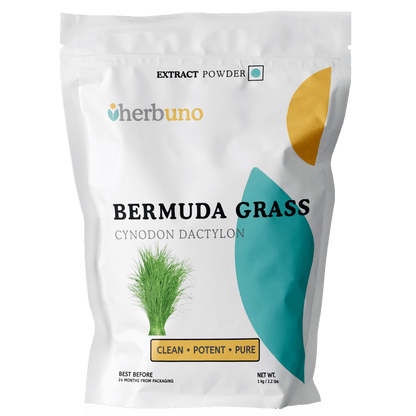 Bermuda Grass Extract Powder - Cynodon dactylon - Bulk Supplier India