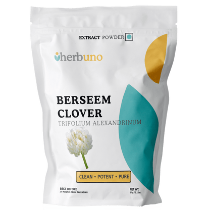 Berseem Clover Extract Powder - Trifolium alexandrinum| Barsim Powder - Bulk Supplier India