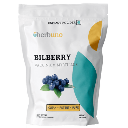 Bilberry Extract Powder - Bulk Supplier India