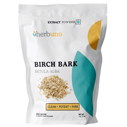 Birch Bark Extract Powder - Betula alba - Bulk Supplier India