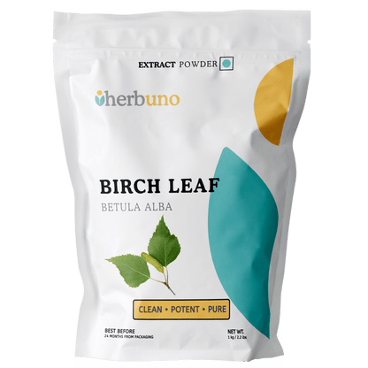 Birch Leaf Extract Powder - Betula alba - Bulk Supplier India