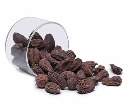Black Cardamom Liquid Extract (Water Soluble) - Amomum subulatum Roxb | Badi Elaichi - Bulk Supplier India