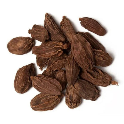 Black Cardamom Liquid Extract (Water Soluble) - Amomum subulatum Roxb | Badi Elaichi - Bulk Supplier India