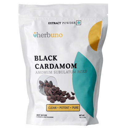 Black Cardamom Extract Powder - Amomum subulatum Roxb | Badi Elaichi - Bulk Supplier India