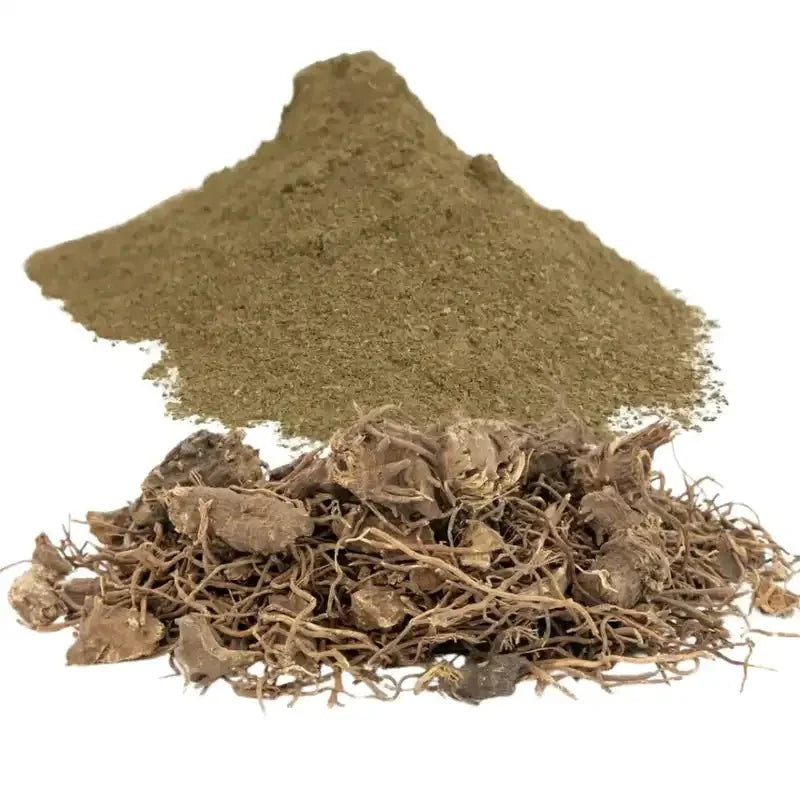 Black Cohosh Extract Powder - Bulk Supplier India