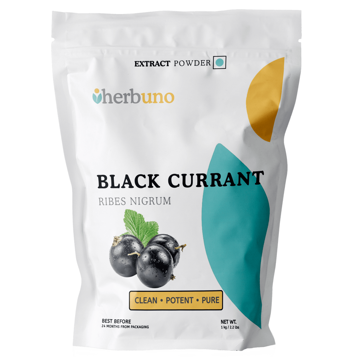 Black Currant Fruit Extract Powder - Ribes nigrum - Bulk Supplier India