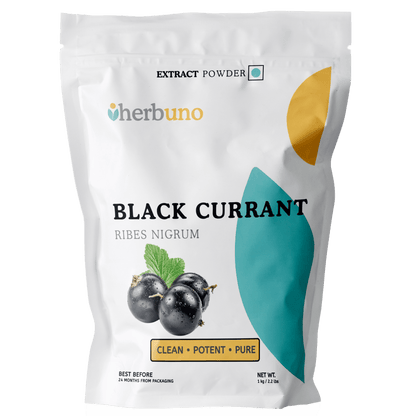 Black Currant Fruit Extract Powder - Ribes nigrum - Bulk Supplier India